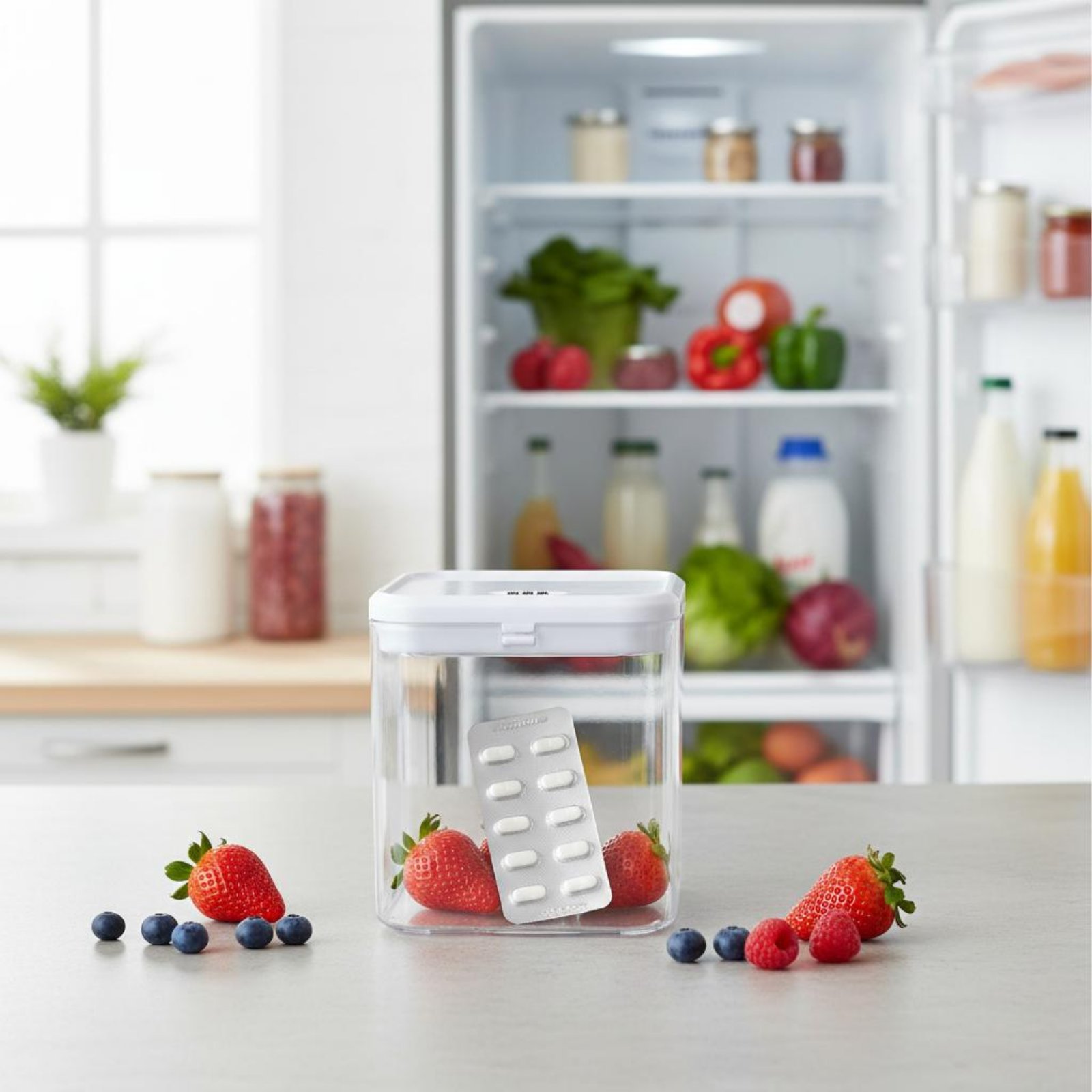 Clear Lockable Box Versatile L - Food & Snacks Coloring recension och pris