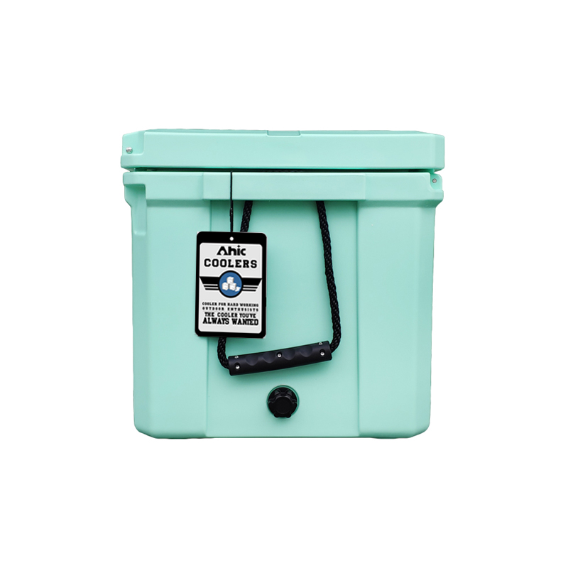 75L Insulated PE Ice Cooler Bo - Food & Snacks Coloring recension och pris